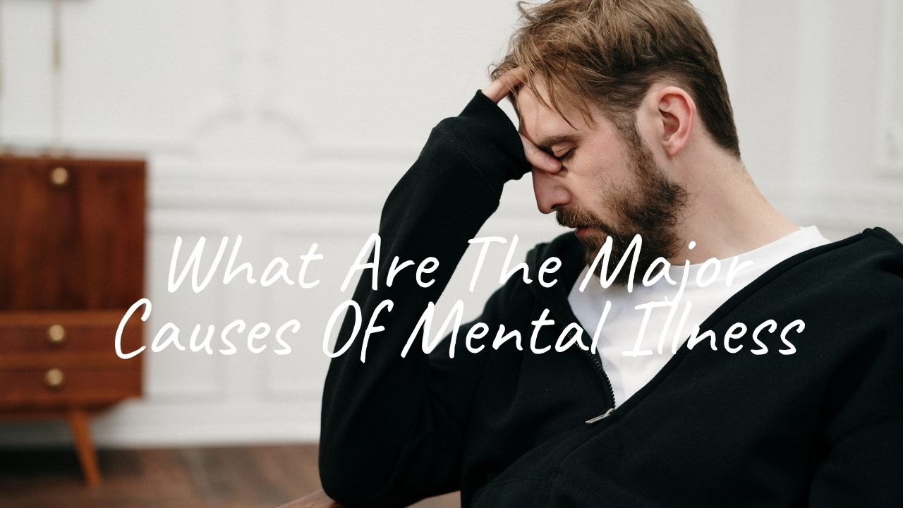 What Are The Major Causes Of Mental Illness