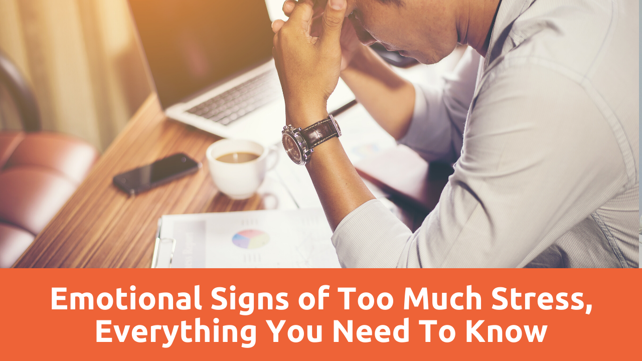 Emotional Signs of Too Much Stress, Everything You Need To Know